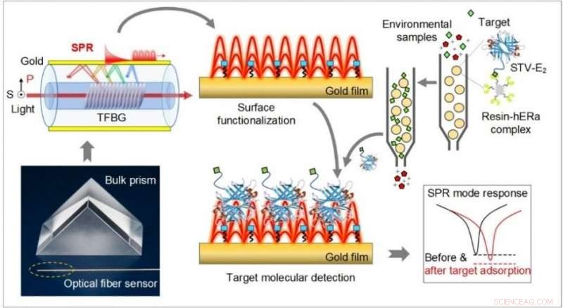 Ultra‑Sensitive Detection of Endocrine Disruptors Using Superfine Plasmonic Spectral Combs