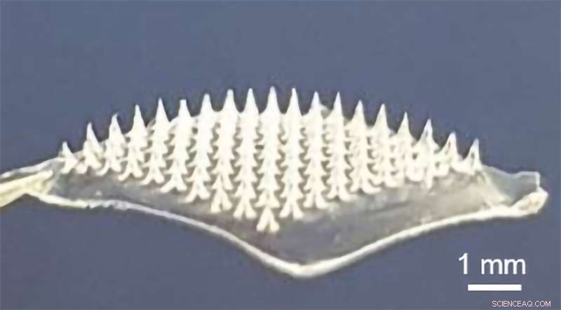 Microneedle Patch Delivers COVID‑19 DNA Vaccine Without Cold Storage