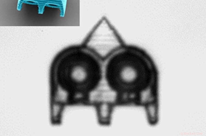 Cornell Engineers Develop Micro-Robots Powered by Air Bubbles and Ultrasound