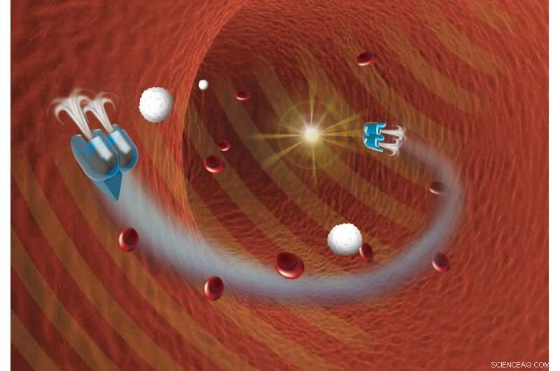 Cornell Engineers Develop Micro-Robots Powered by Air Bubbles and Ultrasound