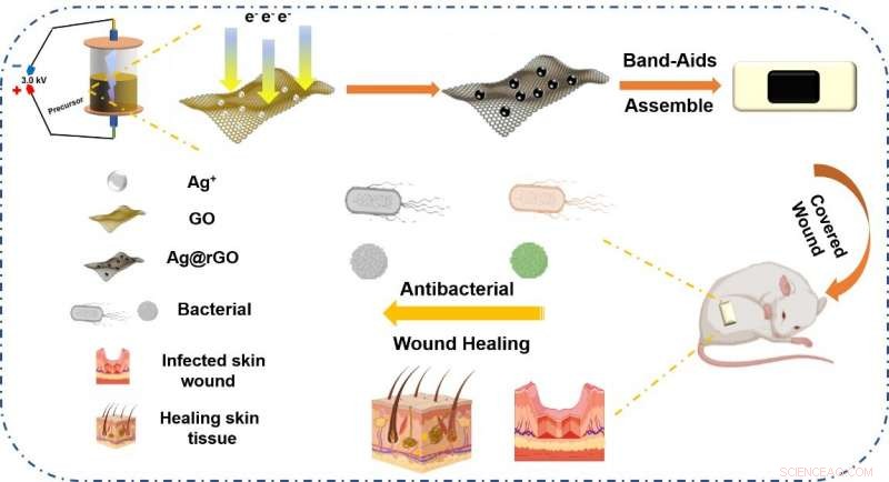 Eco-Friendly One-Step Synthesis of AgNPs@rGO Composite for Advanced Wound Healing