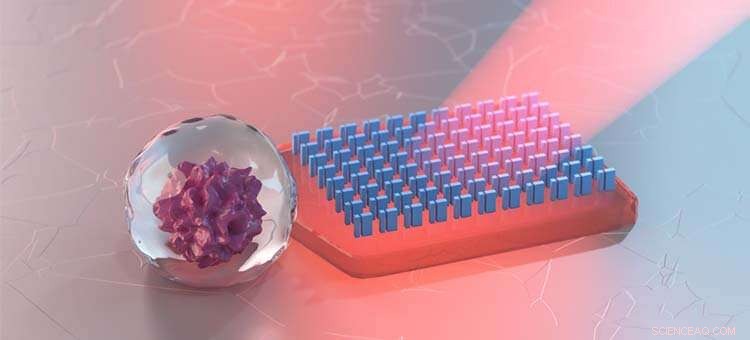 Light-Driven Microscopic Vehicles: Harnessing Photonic Energy for Precision Transport