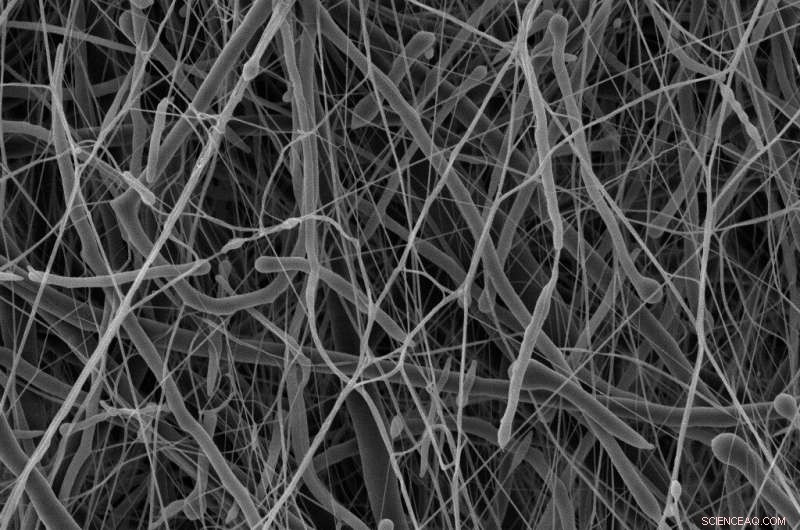 Innovative Nanomaterial Offers Rapid Treatment for Skin Infections