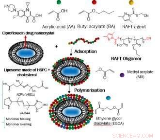 Revolutionary Nanocapsule Delivery System Boosts Drug Targeting with Elongated Nanocrystals