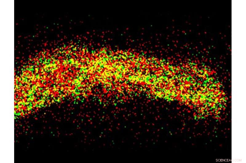 Silicon Anodes Show Robust Performance in Next-Gen Battery Technology
