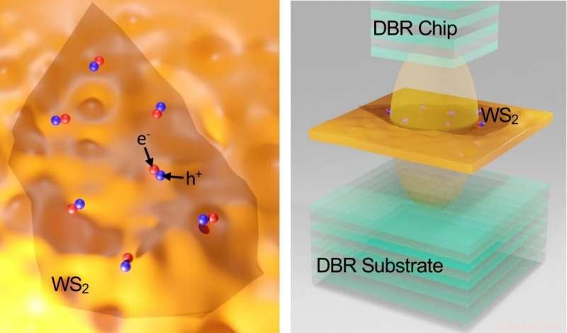 Ultra‑Low‑Energy Electronics: Single‑Atom‑Thin Semiconductor Sandwich Breaks New Ground