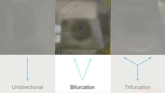Revolutionary Droplet Propulsion on Lubricated Piezoelectric Surfaces