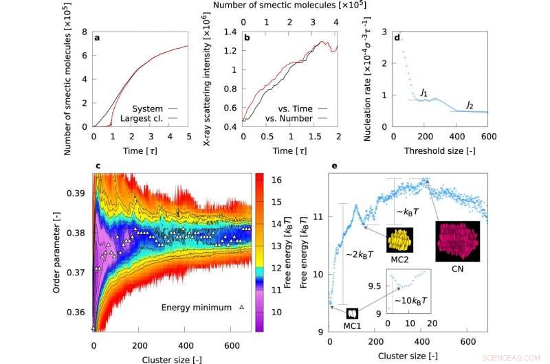 Unveiling the Multistep Mechanism of Nanostructure Formation in Liquid Crystals