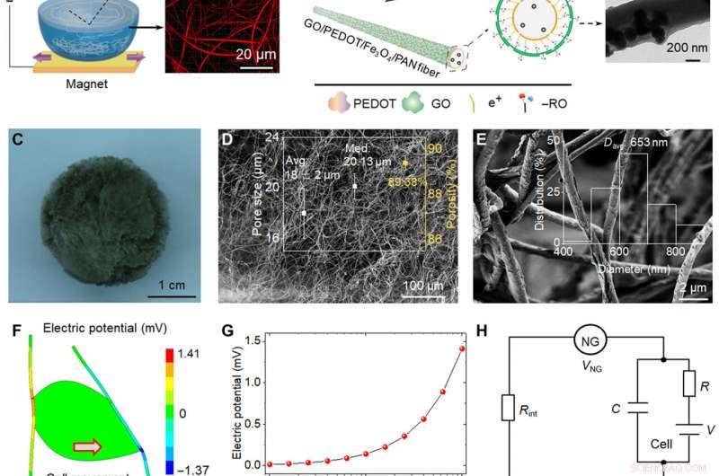 Bioinspired Electromechanical Nanogenerators for Precise Cellular Activity Regulation