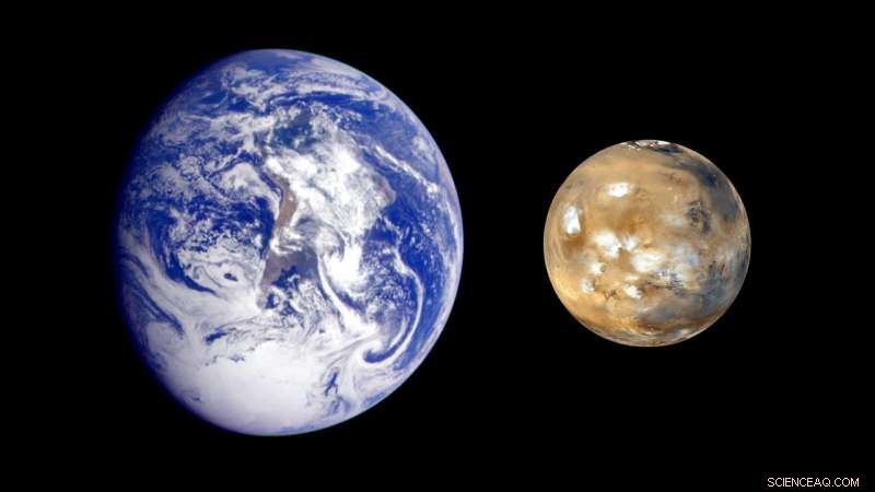 What Earth s and Mars  Divergent Paths Reveal About Life