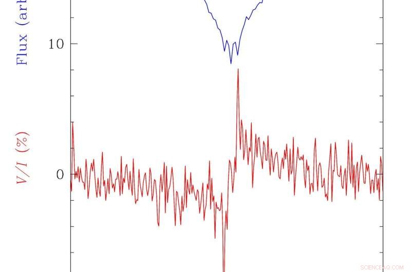 Probing the faintest magnetic fields in white dwarfs with high‑precision polarimetry