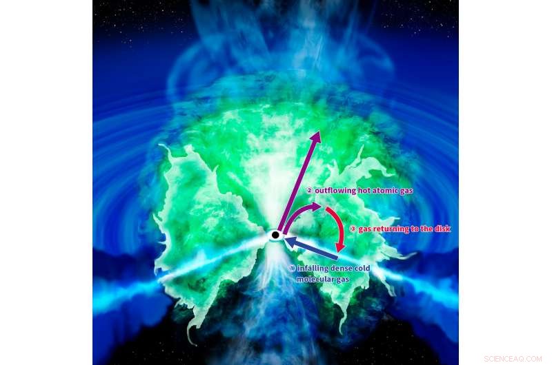 Black Hole Donuts Revealed as Dynamic Gas Fountains