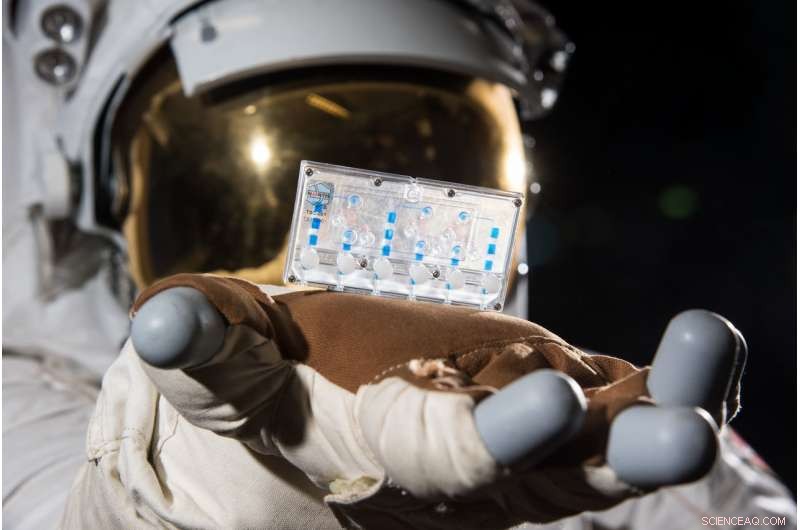 NASA Deploys Kidney Tissue Chips on the ISS to Study Spaceflight Effects on Human Physiology