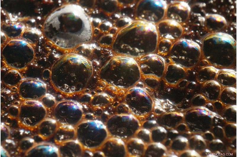 Negative-Mass Dark Fluid May Explain 95% of the Universe