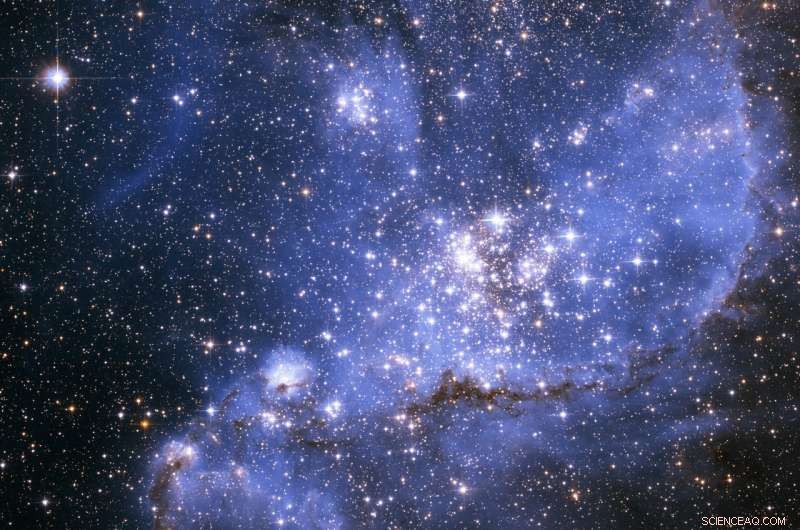 NASA’s Webb Telescope Unveils Detailed Census of Young Stars in NGC 346