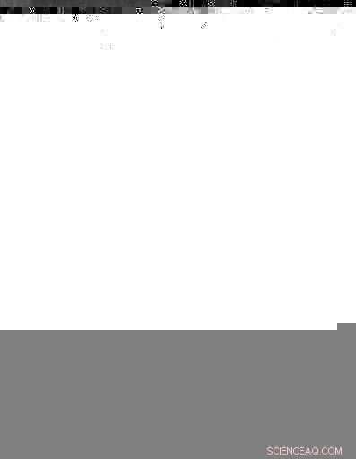 Apollo 8: Celebrating 50 Years of NASA s First Moon Flight