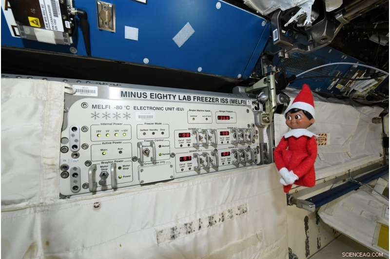 NASA Astronauts Celebrate Holidays with Elf on the ISS