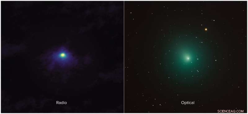 ALMA Captures Unprecedented Close-Up of Comet 46P/Wirtanen