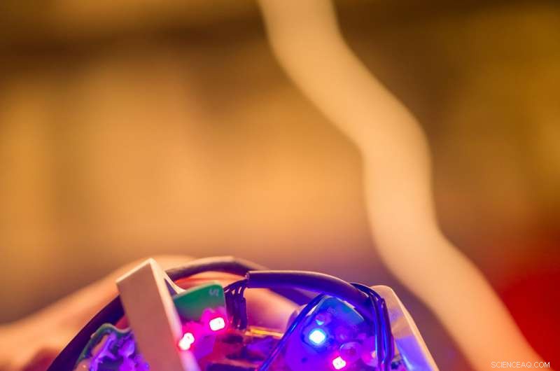 Engineered Plants Launch to the ISS, Pioneering Space Agriculture