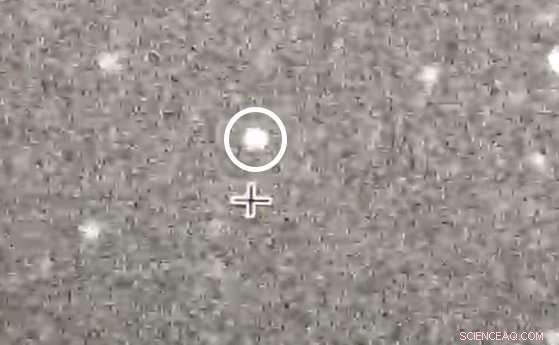 New Horizons Mission Confronts Mystery: Missing Light Curve from Kuiper Belt Target Ultima Thule