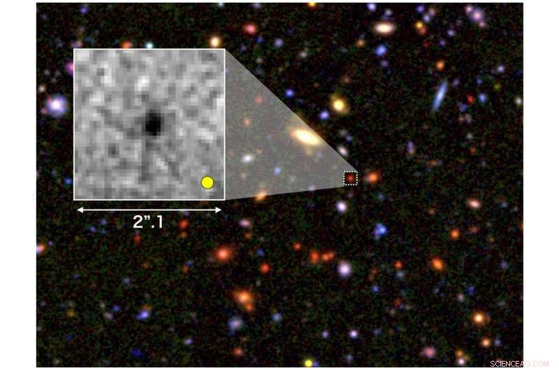 Early Universe: Unveiling the Seeds of Giant Galaxies