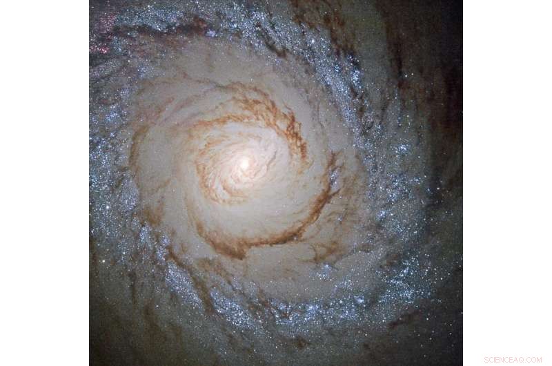 Lonely Giant: Milky Way‑Sized Galaxy Lacks Satellite Companions