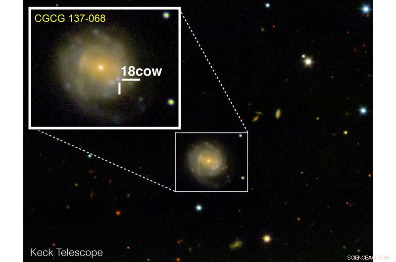 Scientists Capture First Direct Evidence of a Black Hole or Neutron Star Birth