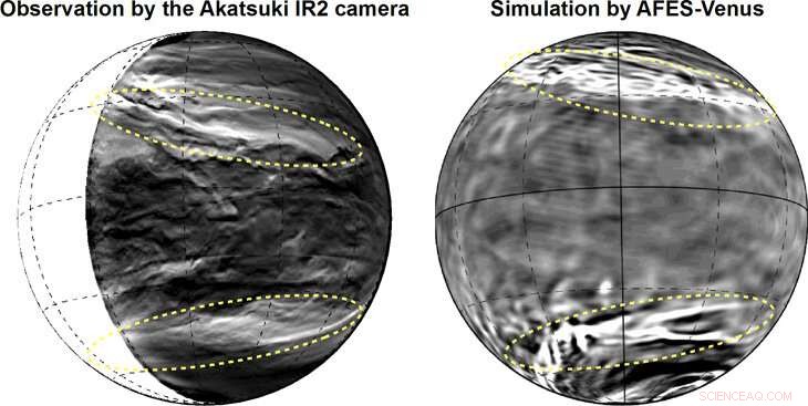 New Giant Pattern Revealed in Venusian Clouds, Unveiling Atmospheric Dynamics