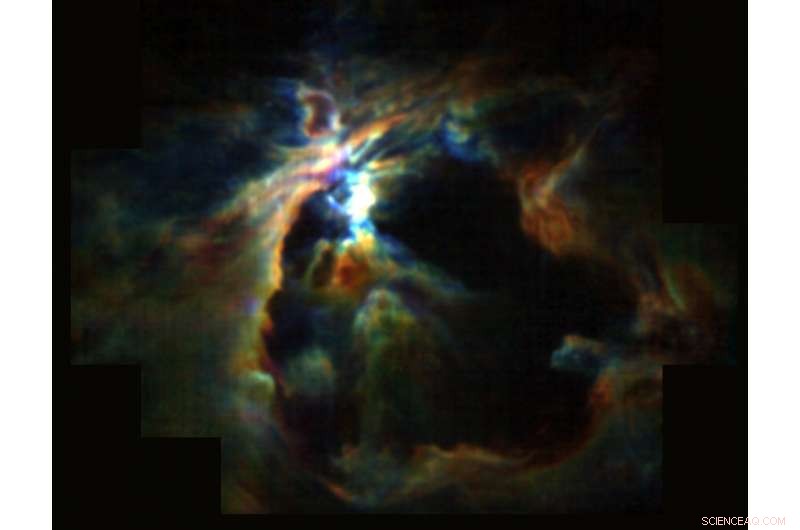 Unveiling Star Formation Dynamics in the Orion Nebula