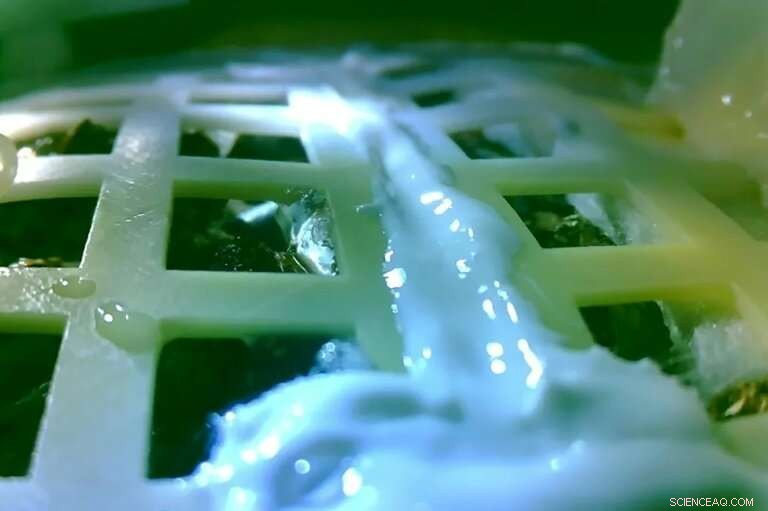 China s Lunar Cotton Seedling Experiment Concludes Amid Freezing Moon Night