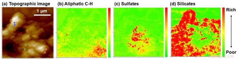 Unveiling Ancient Meteorites: High‑Resolution Mapping of Organic and Mineral Components