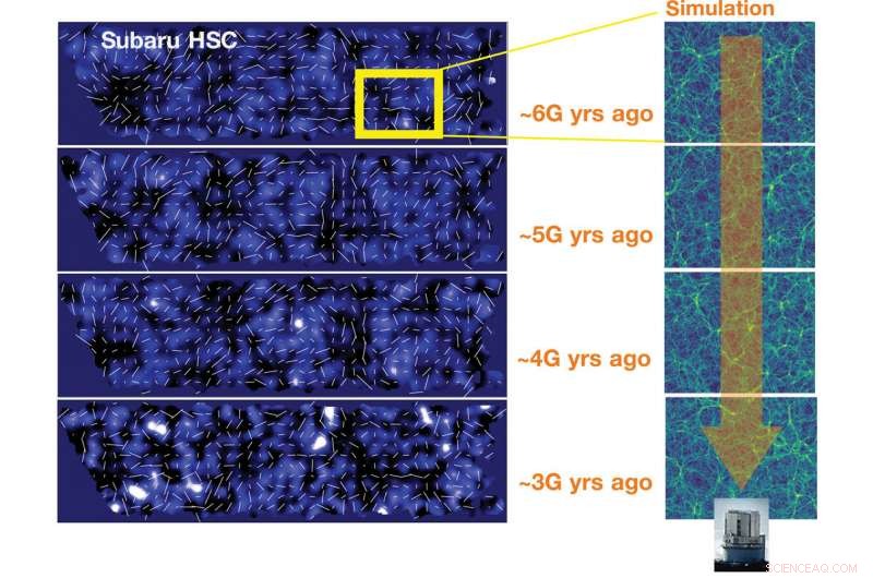 Charting Dark Matter: 3D Cosmic Map from HSC Observations