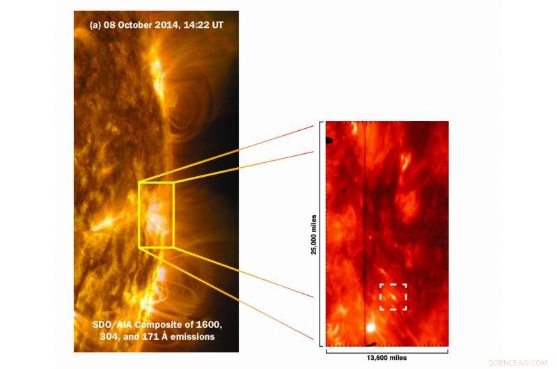 NASA IRIS Discovers Tadpole‑Shaped Solar Jets, Offering Fresh Insight into Solar Mysteries