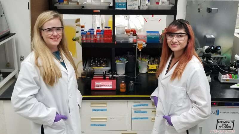 NASA Recreates Life’s Ocean Floor Origins in Lab