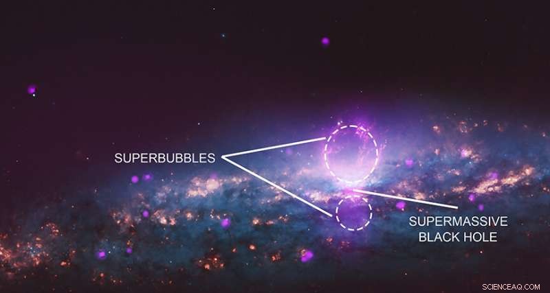 NGC 3079: Galactic Bubbles Drive Energetic Particle Dynamics