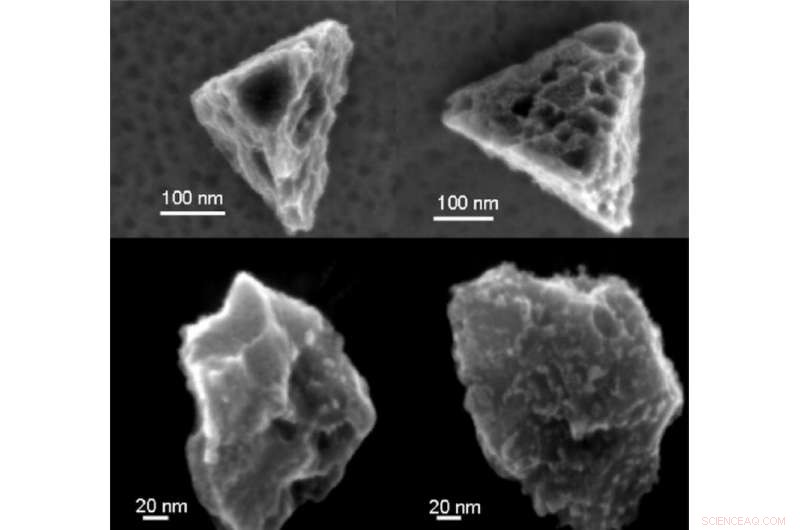 Silicon Carbide Stardust in Meteorites Illuminates the Life Cycle of Eruptive Stars