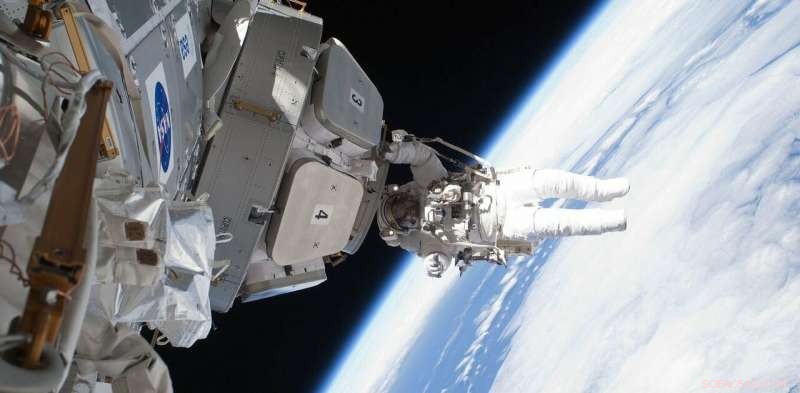 How Gravity Shapes Human Decision-Making: Insights from New Research