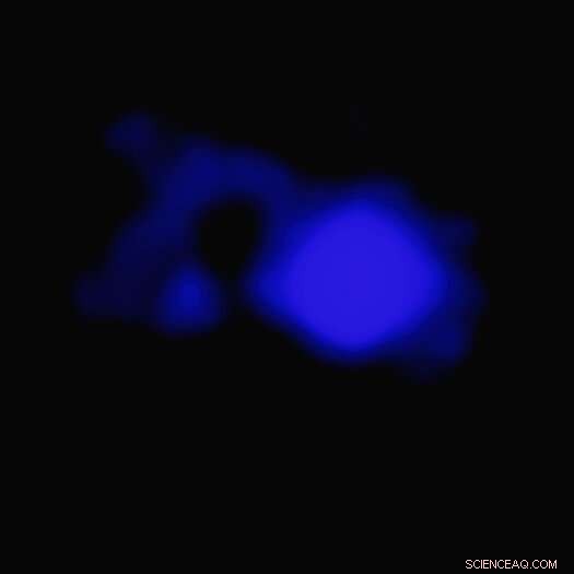 SDSS J1430+1339: Black Hole Storm Powers the Cosmic Teacup Galaxy