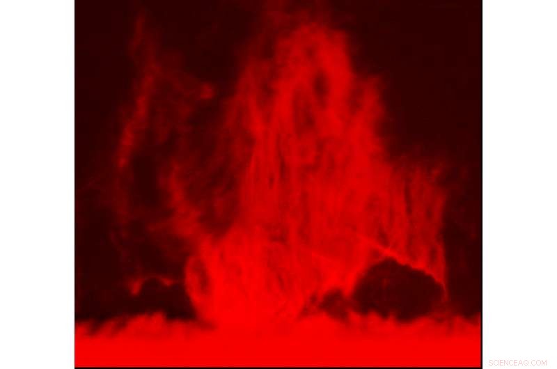 Ions Move Faster than Atoms in Solar Prominence Gas Streams