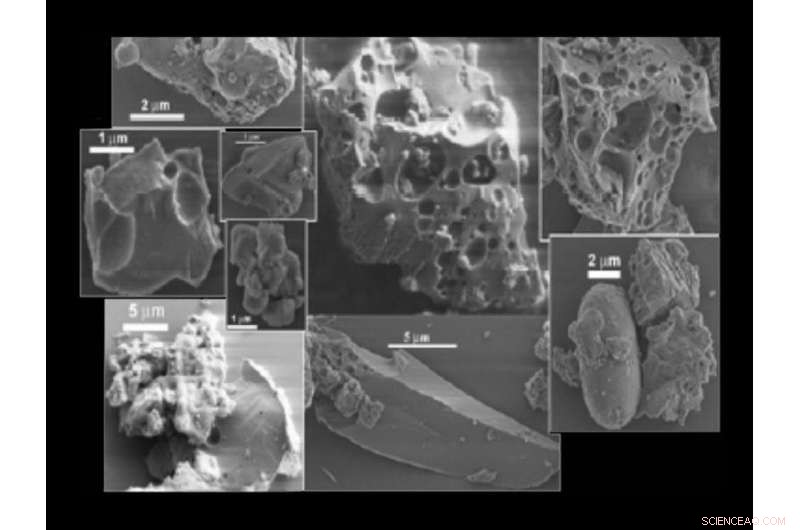 Shadows on the Moon: Apollo s Legacy and the New Age of Lunar Archaeology