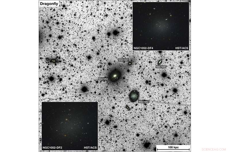 NGC 1052-DF2: A Rare Galaxy That Challenges Dark Matter Theory