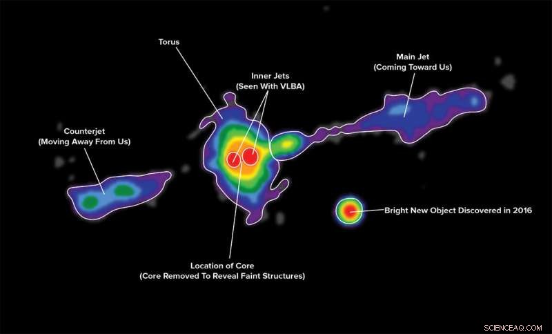 VLA Captures First Direct Image of Dusty Torus in Powerful Radio Galaxies