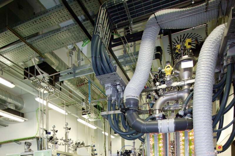 Decade-Long Effort to Build a Closed-Loop Ecosystem in a Room