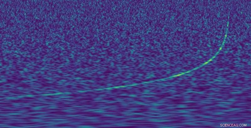 How Gravitational Waves Reveal Black Holes, Dark Matter, and Exotic Particles