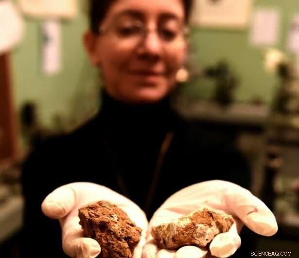 Georgia s Winemakers Aim for Mars: Pioneering Space Viticulture