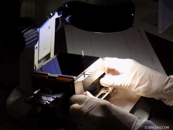 PLATO’s First CCDs: A Milestone Toward Earth‑Sized Exoplanet Discovery