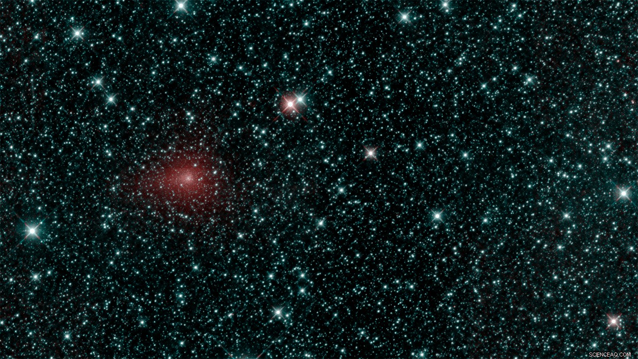 NEOWISE Marks Five Years of Asteroid Data Discovery