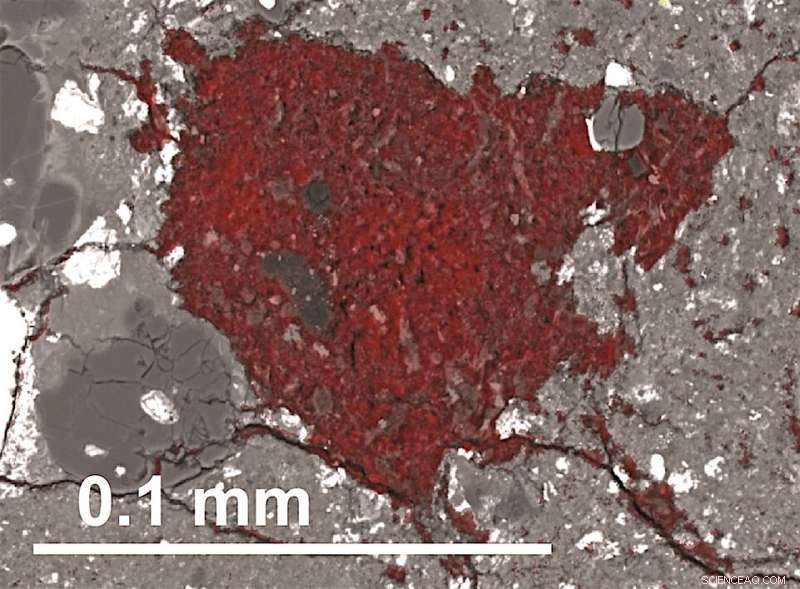 Tiny Comet Fragment Discovered Inside Meteorite