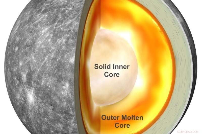 Mercury s Spin and Gravity Unveil the Planet s Solid Core