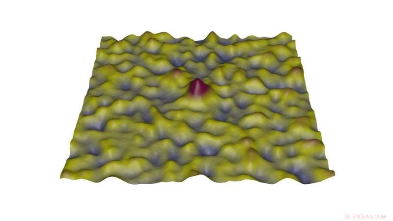 Planck Uncovers How Active Galaxies Reside in Dark Matter Halos